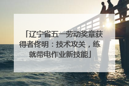 辽宁省五一劳动奖章获得者佟明：技术攻关，练就带电作业新技能