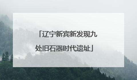 辽宁新宾新发现九处旧石器时代遗址