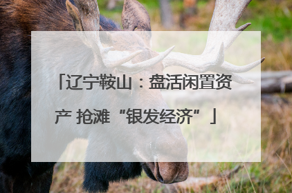 辽宁鞍山：盘活闲置资产 抢滩“银发经济”