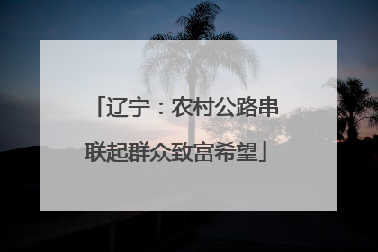 辽宁：农村公路串联起群众致富希望