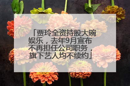 贾玲全资持股大碗娱乐，去年9月宣布不再担任公司职务，旗下艺人均不续约