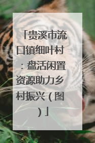 贵溪市流口镇细叶村：盘活闲置资源助力乡村振兴（图）
