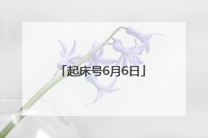 起床号6月6日