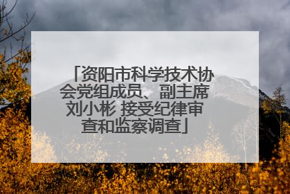 资阳市科学技术协会党组成员、副主席刘小彬 接受纪律审查和监察调查