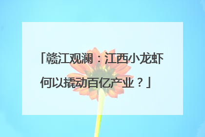 赣江观澜：江西小龙虾何以撬动百亿产业？