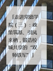 走进常德学院（三）：政策筑基、引凤来栖，锻造校城共享的“双师铁军”