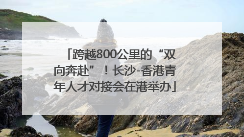 跨越800公里的“双向奔赴”！长沙-香港青年人才对接会在港举办