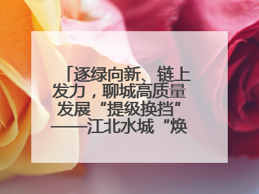 逐绿向新、链上发力，聊城高质量发展“提级换挡”——江北水城“焕新”记