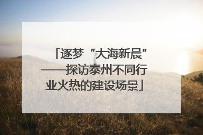 逐梦“大海新晨”——探访泰州不同行业火热的建设场景
