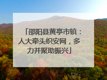 邵阳县黄亭市镇：人大牵头织安网，多力并聚助振兴