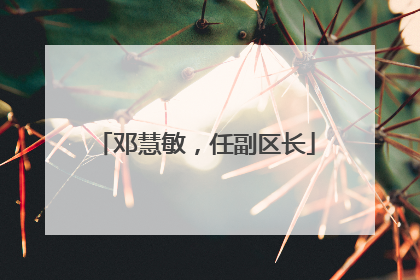 邓慧敏，任副区长