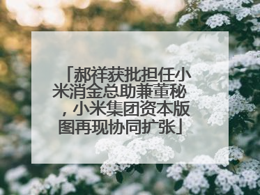 郝祥获批担任小米消金总助兼董秘，小米集团资本版图再现协同扩张