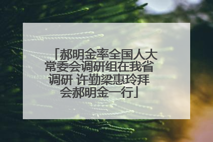 郝明金率全国人大常委会调研组在我省调研 许勤梁惠玲拜会郝明金一行