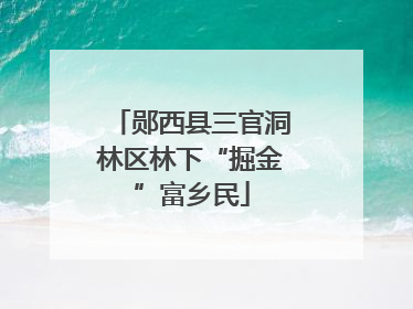 郧西县三官洞林区林下“掘金”富乡民