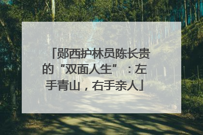 郧西护林员陈长贵的“双面人生”：左手青山，右手亲人