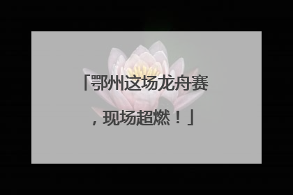 鄂州这场龙舟赛，现场超燃！