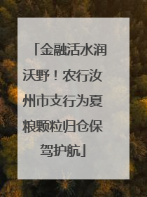 金融活水润沃野！农行汝州市支行为夏粮颗粒归仓保驾护航