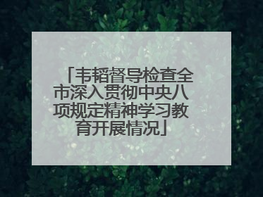 韦韬督导检查全市深入贯彻中央八项规定精神学习教育开展情况