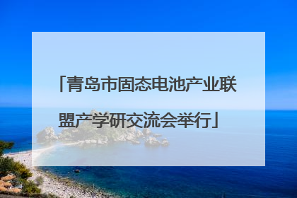 青岛市固态电池产业联盟产学研交流会举行