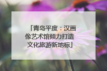 青岛平度：汉画像艺术馆倾力打造文化旅游新地标