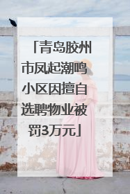 青岛胶州市凤起潮鸣小区因擅自选聘物业被罚3万元