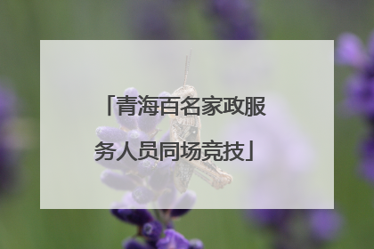 青海百名家政服务人员同场竞技