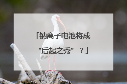 钠离子电池将成“后起之秀”？