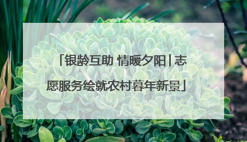 银龄互助 情暖夕阳│志愿服务绘就农村暮年新景