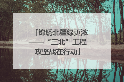 锦绣北疆绿更浓——“三北”工程攻坚战在行动