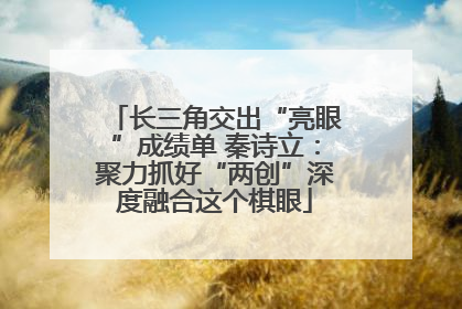 长三角交出“亮眼”成绩单 秦诗立：聚力抓好“两创”深度融合这个棋眼