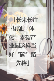 长来长往·见证一体化｜零碳产业园这样当好“碳”路先锋
