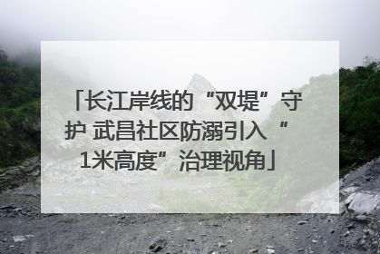 长江岸线的“双堤”守护 武昌社区防溺引入“1米高度”治理视角