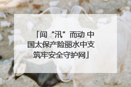 闻“汛”而动 中国太保产险丽水中支筑牢安全守护网