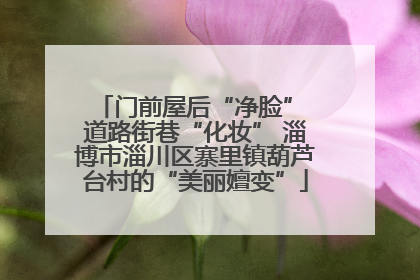 门前屋后“净脸” 道路街巷“化妆” 淄博市淄川区寨里镇葫芦台村的“美丽嬗变”
