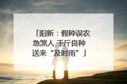 阳新：假种误农急煞人 千斤良种送来“及时雨”