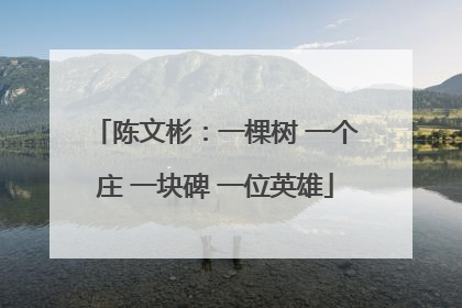 陈文彬：一棵树 一个庄 一块碑 一位英雄