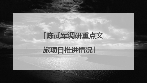 陈武军调研重点文旅项目推进情况