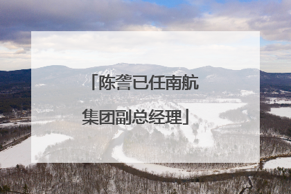 陈詟已任南航集团副总经理