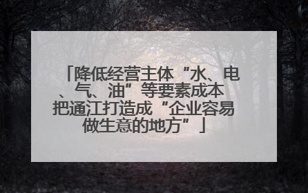降低经营主体“水、电、气、油”等要素成本 把通江打造成“企业容易做生意的地方”