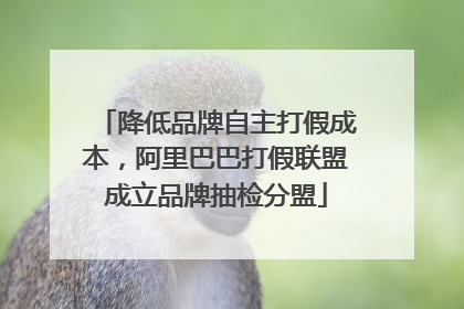 降低品牌自主打假成本，阿里巴巴打假联盟成立品牌抽检分盟