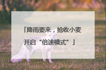 降雨要来，抢收小麦开启“倍速模式”
