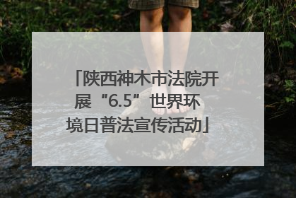 陕西神木市法院开展“6.5”世界环境日普法宣传活动