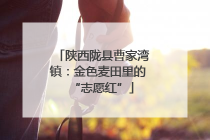 陕西陇县曹家湾镇：金色麦田里的“志愿红”