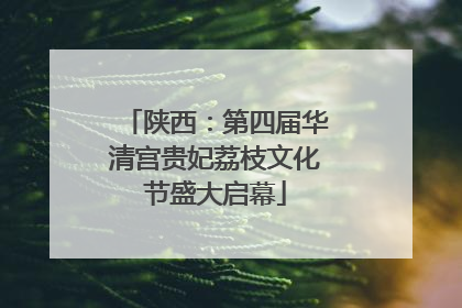 陕西：第四届华清宫贵妃荔枝文化节盛大启幕