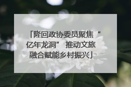 隆回政协委员聚焦“亿年龙洞” 推动文旅融合赋能乡村振兴