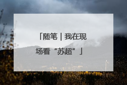 随笔｜我在现场看“苏超”