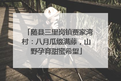 随县三里岗镇贾家湾村：八月瓜缀满藤，山野孕育甜蜜希望