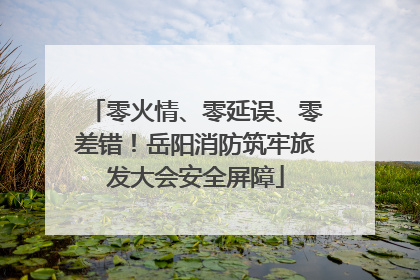 零火情、零延误、零差错！岳阳消防筑牢旅发大会安全屏障