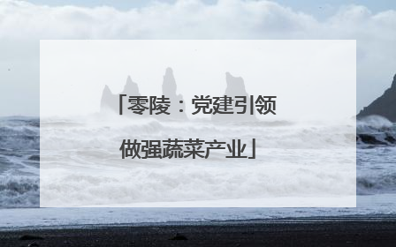 零陵：党建引领 做强蔬菜产业