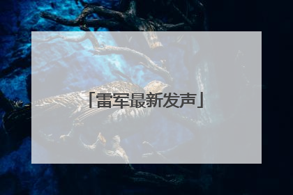 雷军最新发声